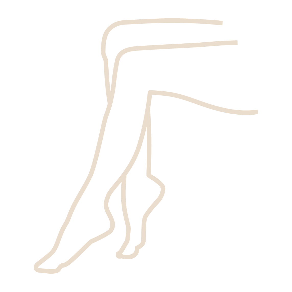 Jambes et ventre